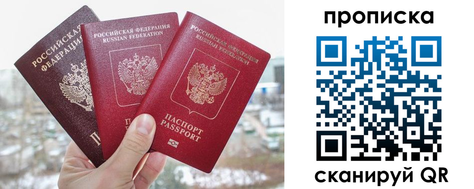 временная регистрация для всех в Кингисеппе